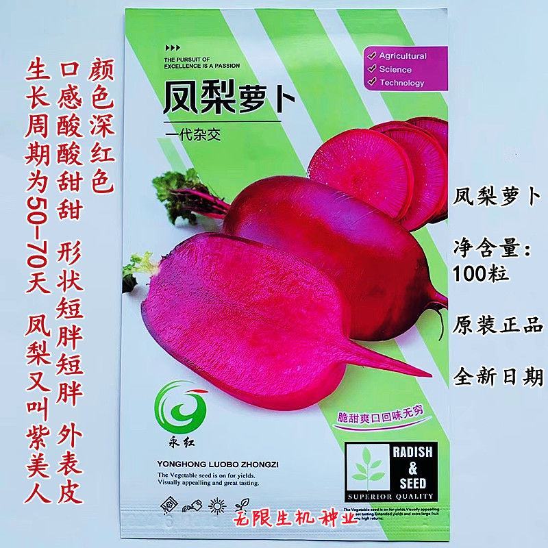 凤梨萝卜种子紫美人红心红皮水果萝卜籽秋冬四季蔬菜种孑阳台