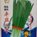 四季青韭菜种子高产型适合大棚常年种植不休眠