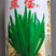 四季青韭菜种子高产型适合大棚常年种植不休眠