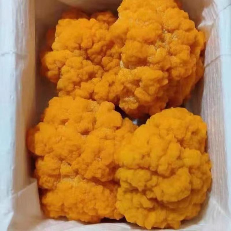 胶原蛋白丰富