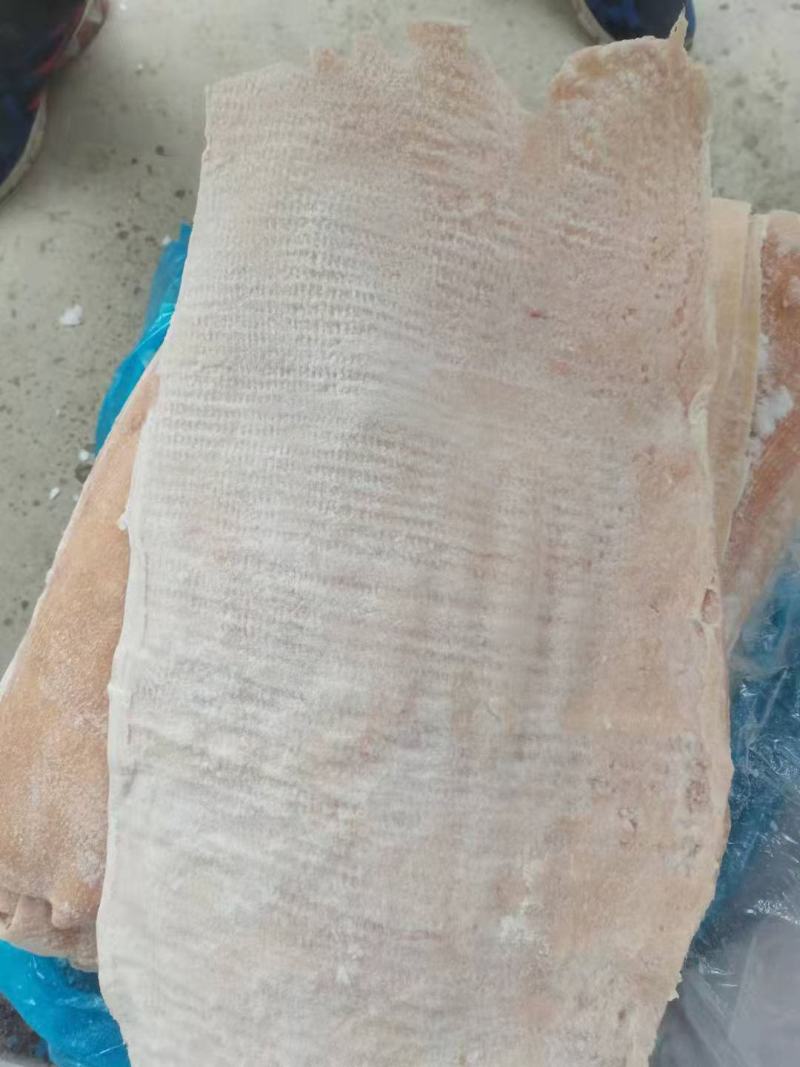 精修猪腹皮无油无毛，猪肉皮手续齐全