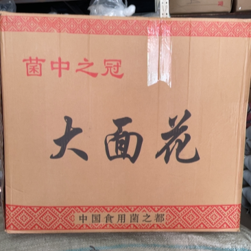 古田银耳大面花无半朵性价比高