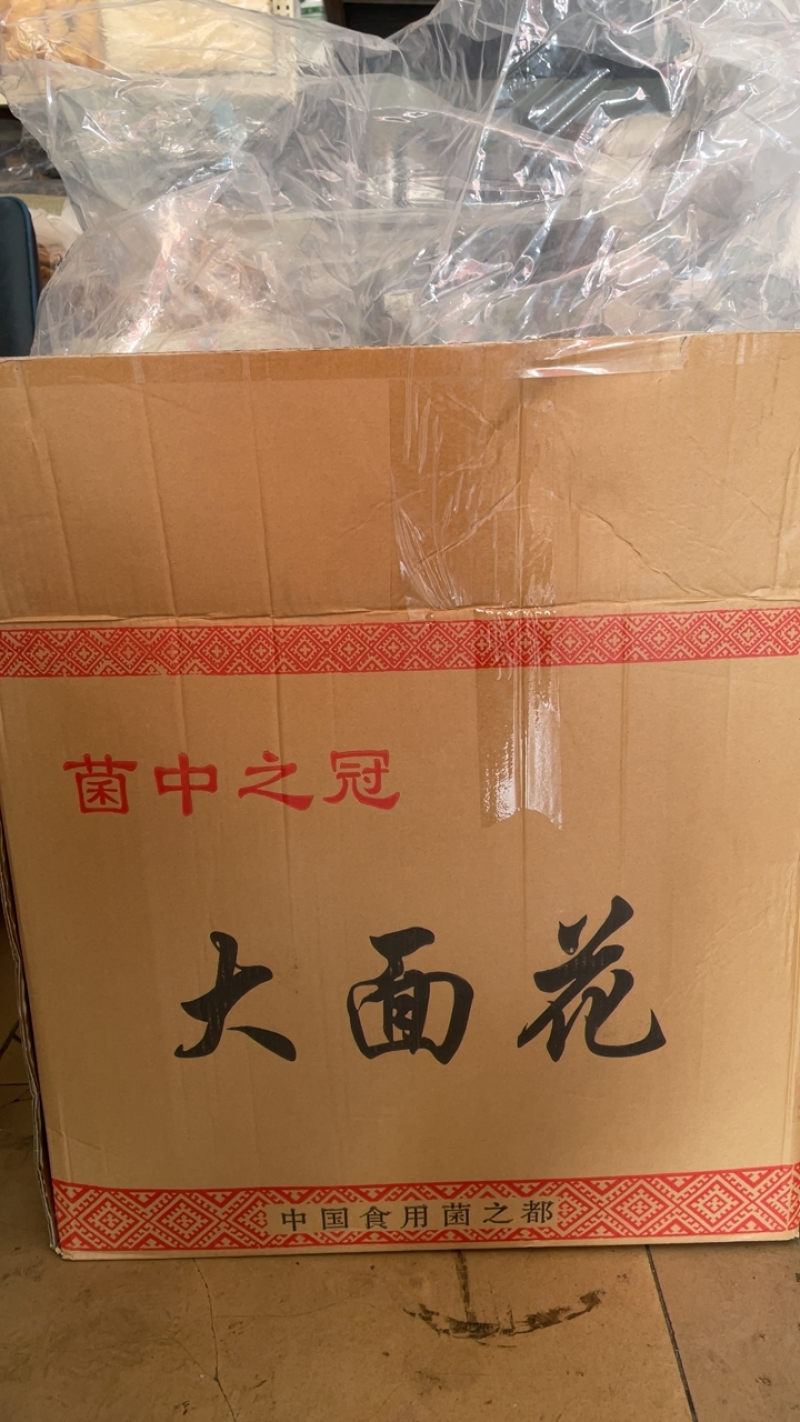 古田银耳大面花无半朵性价比高