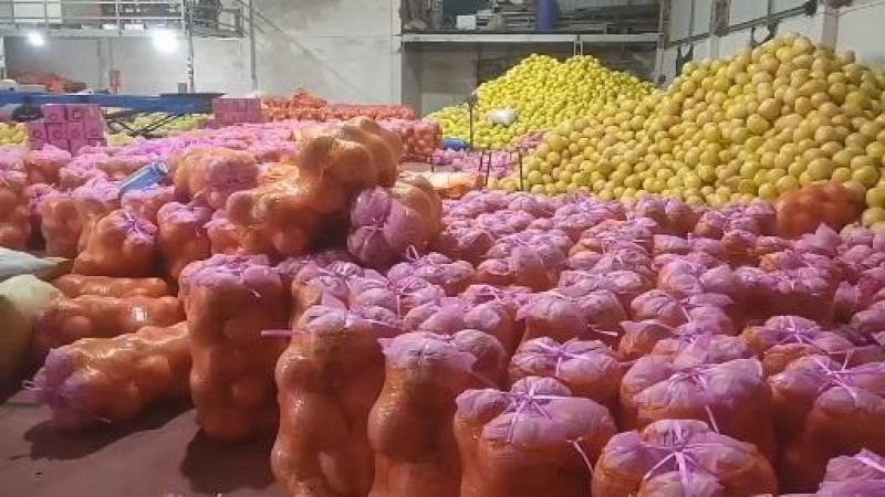 福建平和三红柚，产地直发，品质保证，量大从优，欢迎选购