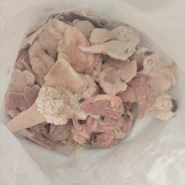 箭齿鲽鱼籽