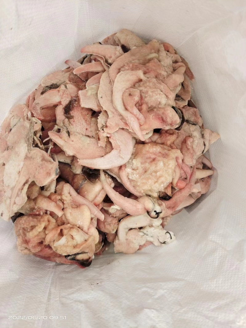 箭齿鲽鱼籽