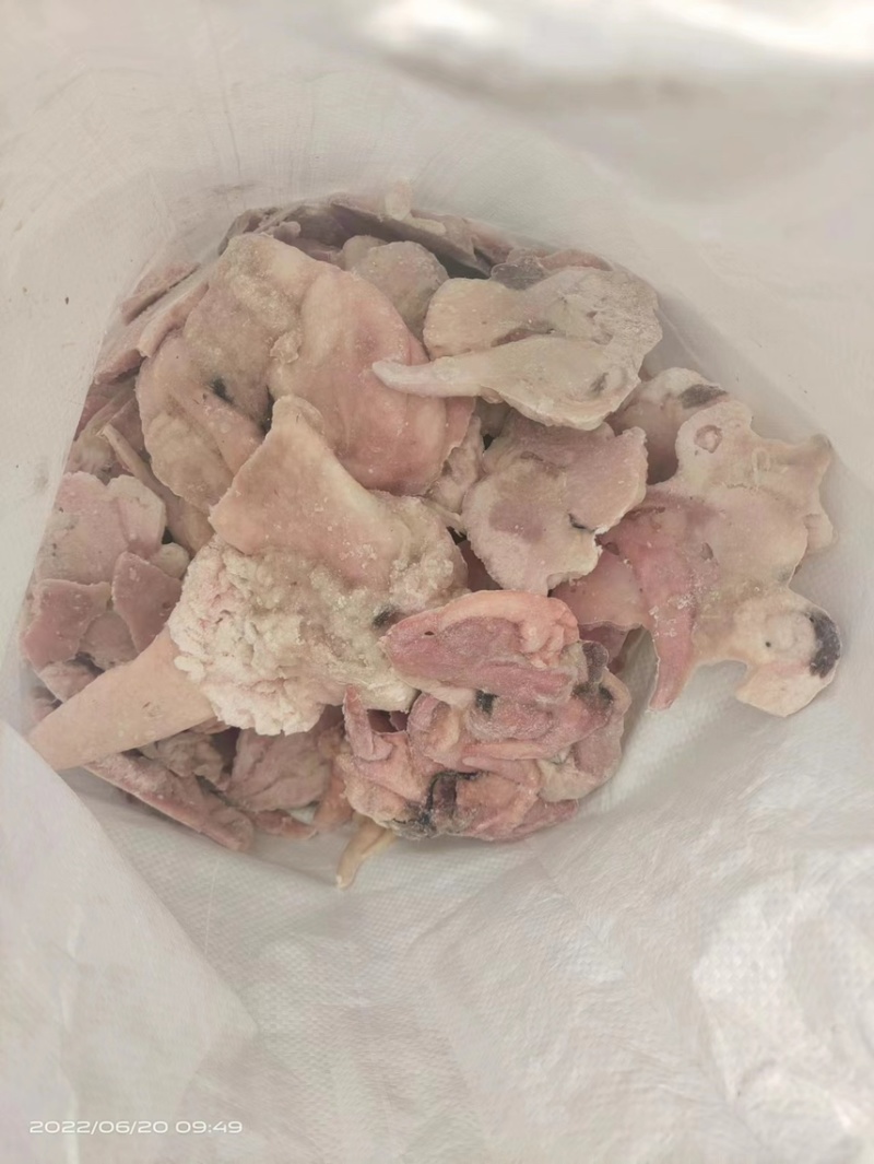 箭齿鲽鱼籽