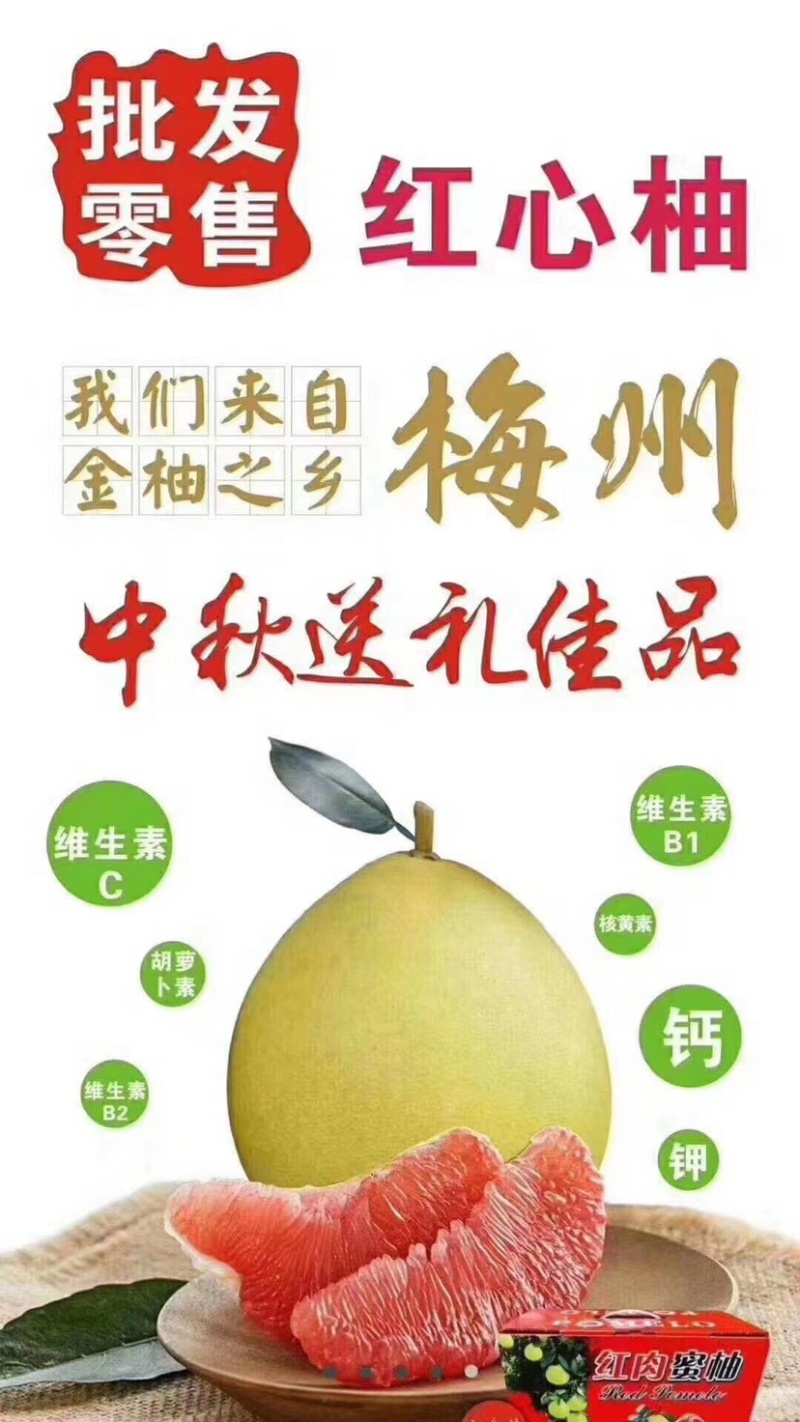 梅州大埔三红蜜柚