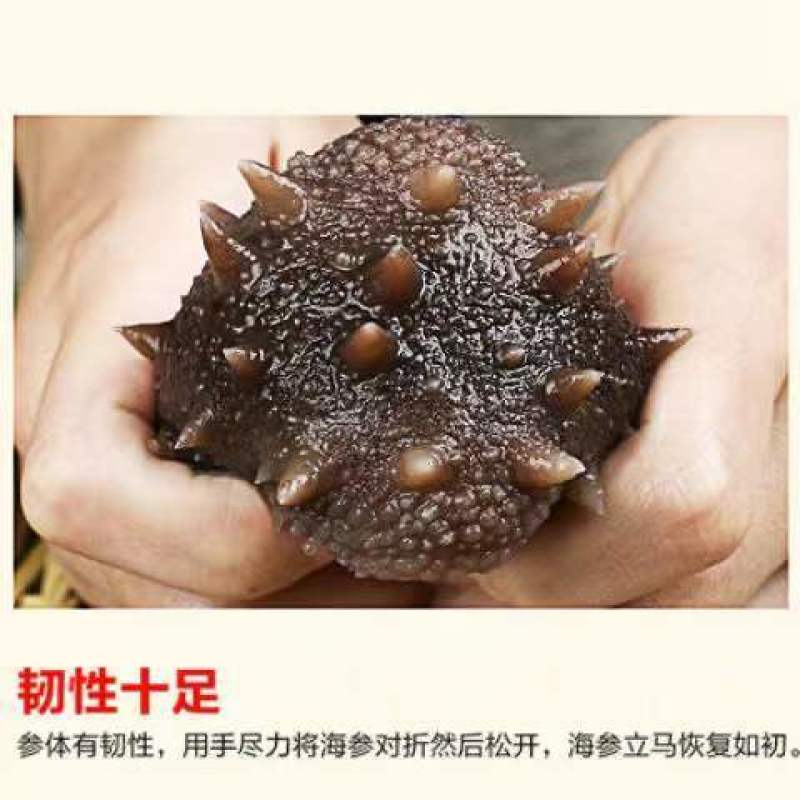 淡干海参干货礼盒海参礼盒装年货干海参批发礼品送礼一件代发