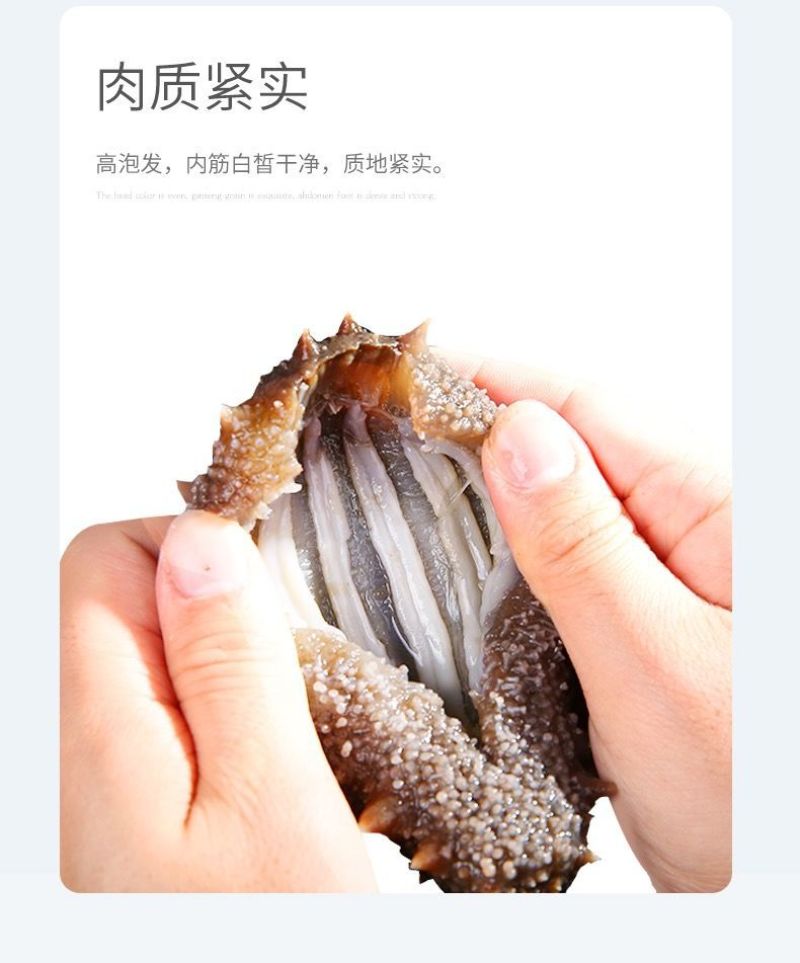 淡干海参干货礼盒海参礼盒装年货干海参批发礼品送礼一件代发