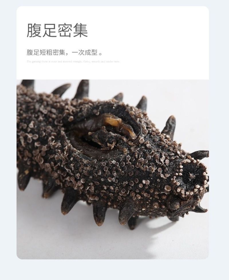 淡干海参干货礼盒海参礼盒装年货干海参批发礼品送礼一件代发