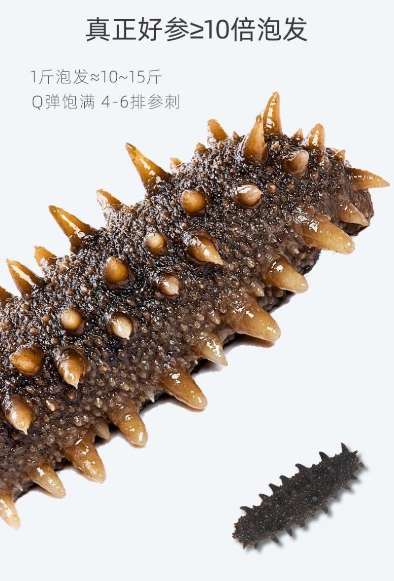 淡干海参干货礼盒海参礼盒装年货干海参批发礼品送礼一件代发