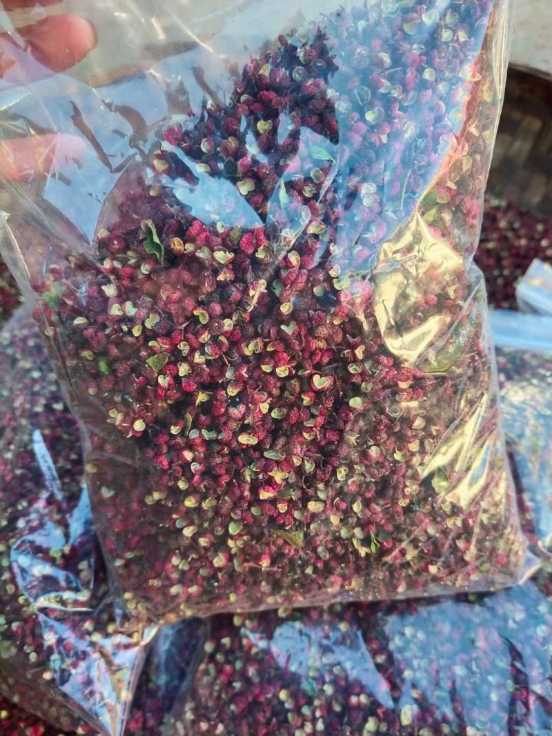 四川大凉山高原大红袍花椒干花椒包邮盐源干花椒