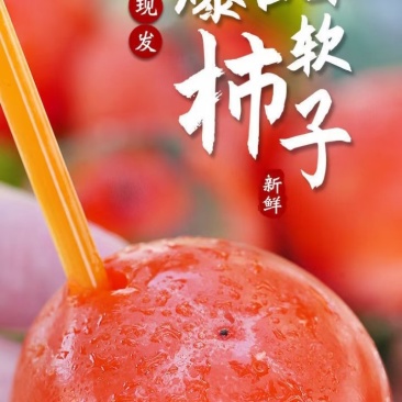 七月黄水晶甜柿