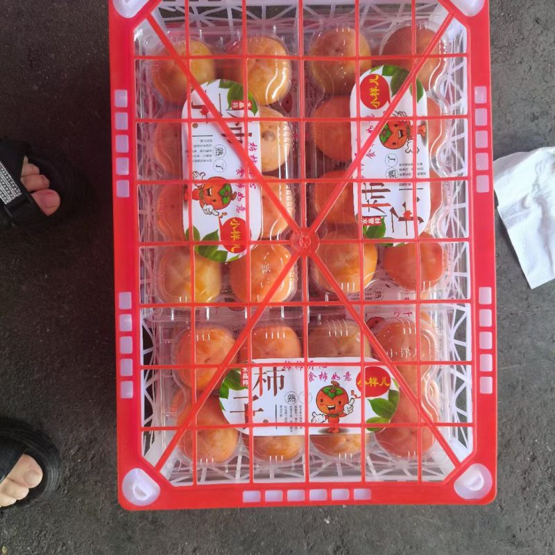 七月黄水晶甜柿