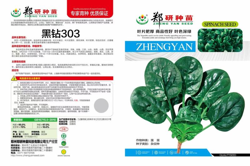 黑钻505菠菜种子杂交菠菜种子黑圆叶叶片厚大当家