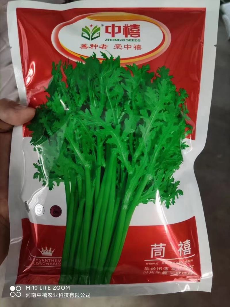 【精】茼禧茼蒿种子叶片平展直立性好袋装300g