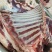 梅花鹿鹿肉鹿腿鹿鞭鹿白条鹿胎各种鹿产品