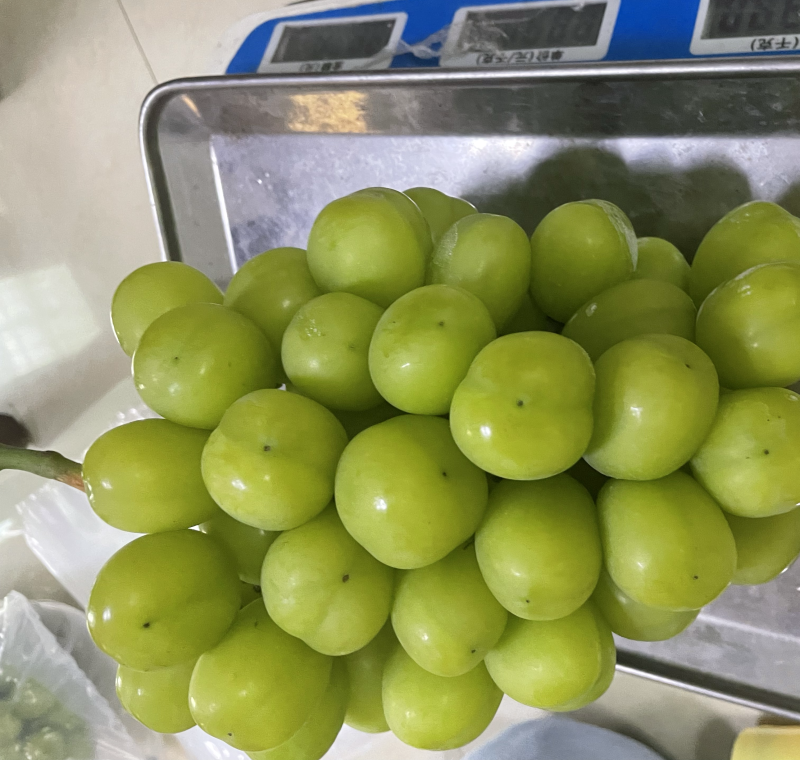 阳光玫瑰一级果