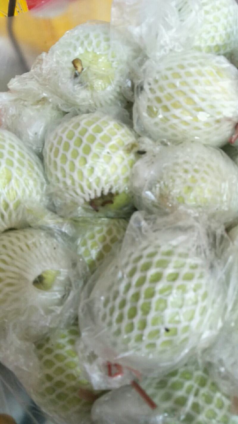 芭乐