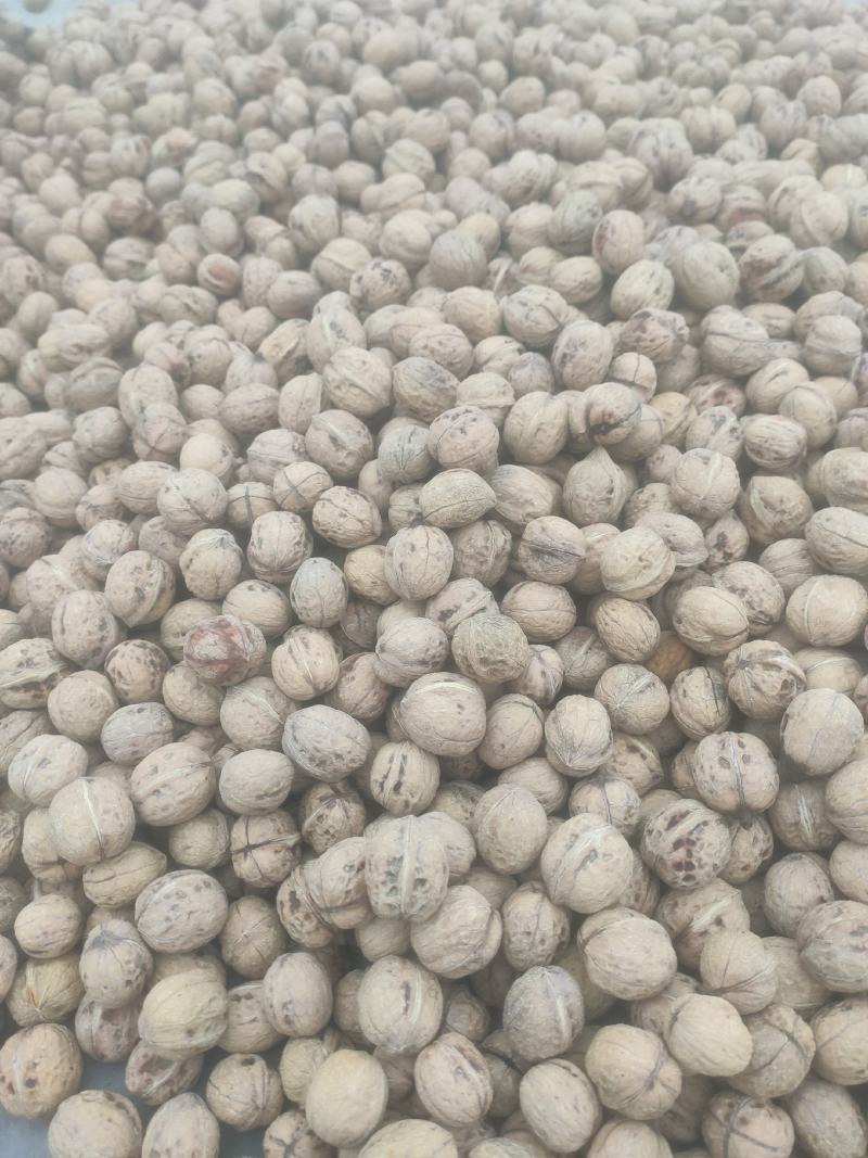 陕西剥皮核桃新鲜出炉支持全国代发