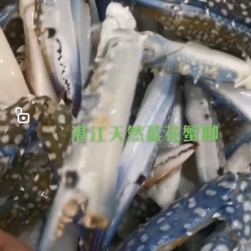 湛江本土冻蓝花精品蟹脚，肉质鲜嫩，美味可口。
