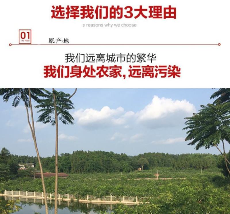 安岳尤力克青柠檬大量有货，电商一件代发，榨汁冻干大量供应