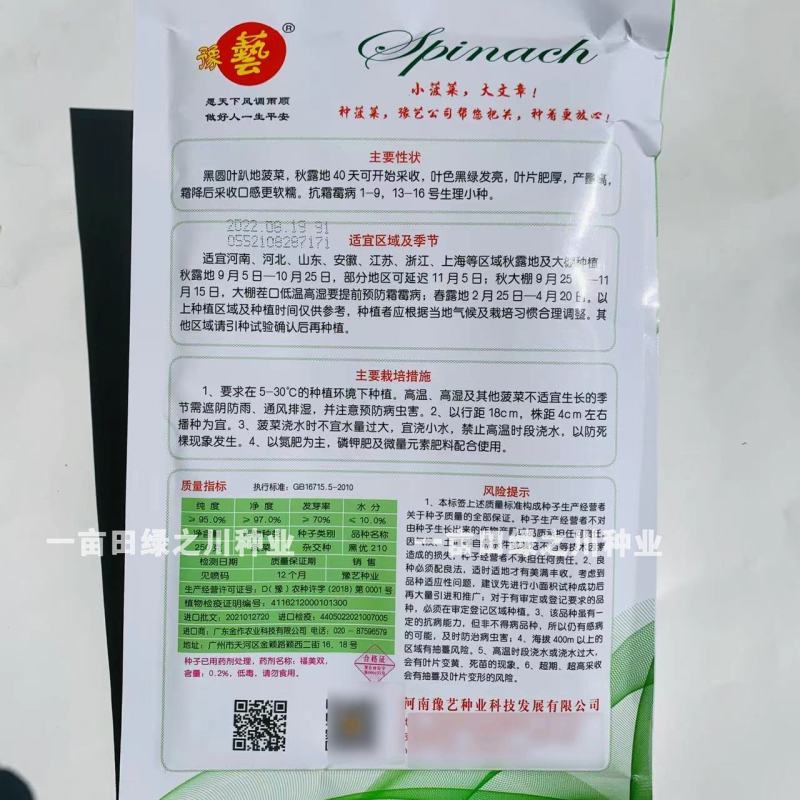 豫艺黑优210黑圆叶菠菜种子趴地菠菜种子叶色黑绿发亮