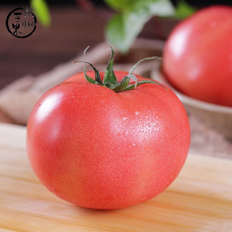 西红柿，硬粉，产地发看货论价，，保质保量欢迎订购