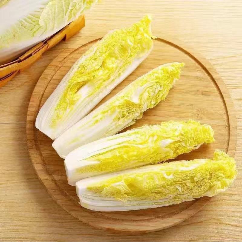 芭比娃娃菜种子黄心白菜种子大颗型阳台蔬菜种子