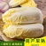芭比娃娃菜种子黄心白菜种子大颗型阳台蔬菜种子