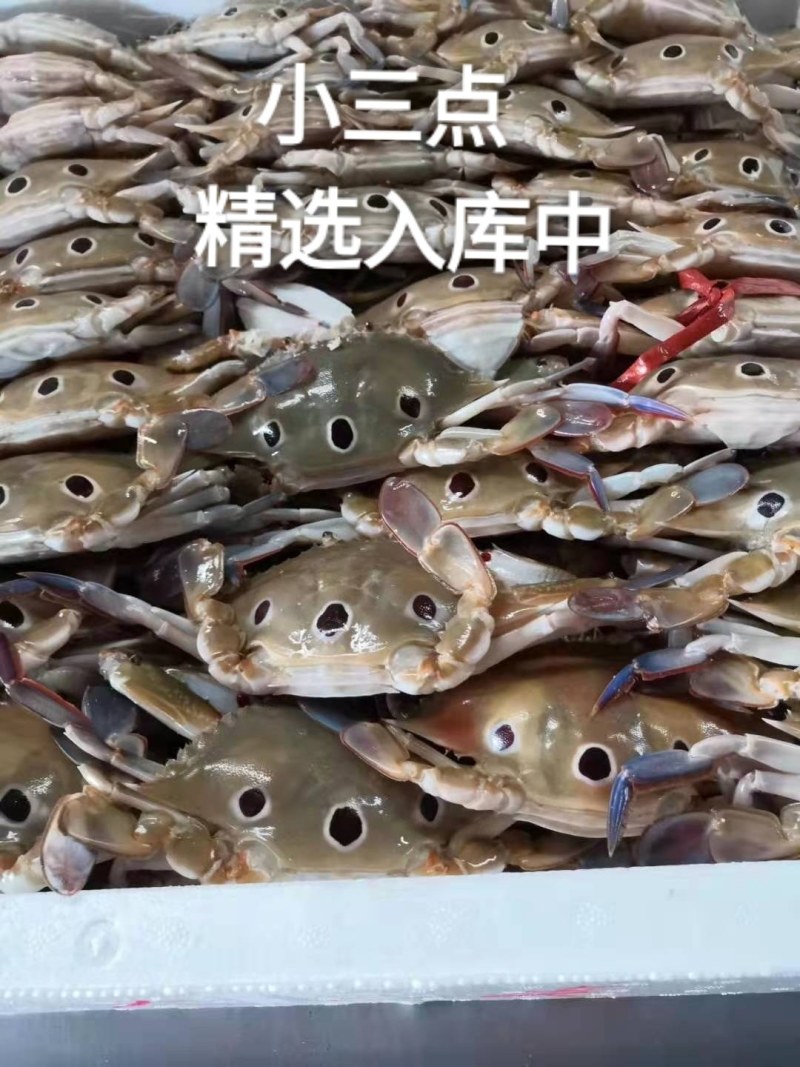 小三点，每件12斤重，喜欢可以到下单！！！