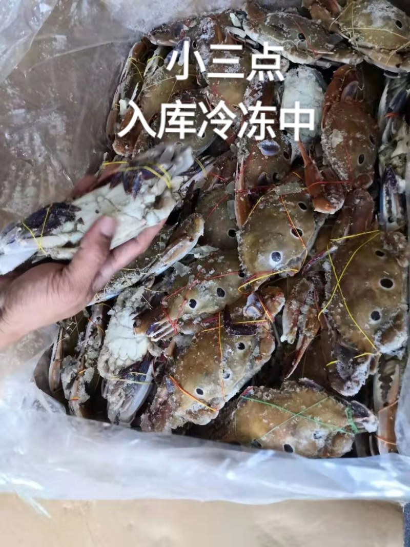 小三点，每件12斤重，喜欢可以到下单！！！