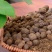 甘肃古浪黄花滩发酵纯羊粪量大从优货量稳定欢迎订购