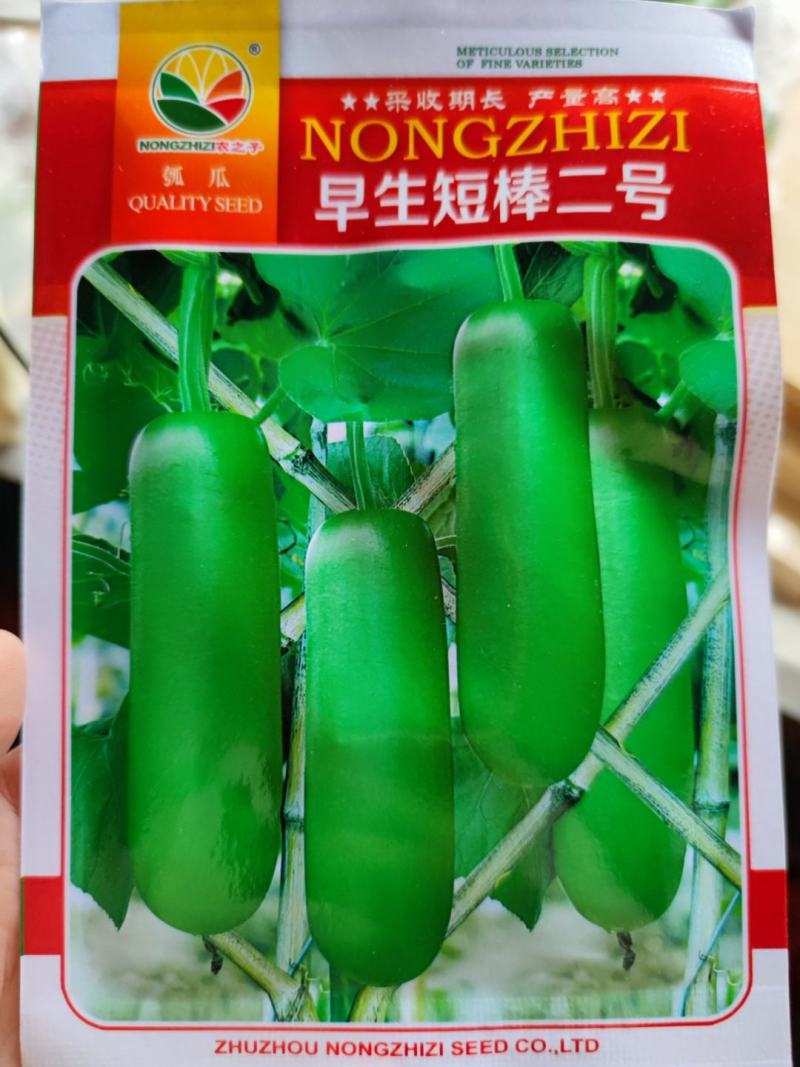 农之子早生短棒二号，长25厘米左右，