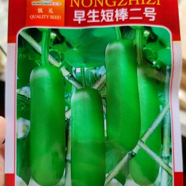 农之子早生短棒二号，长25厘米左右，