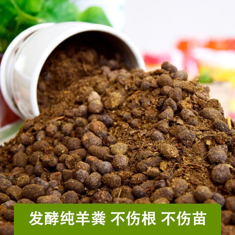 发酵纯羊粪专业生产厂家货量稳定品质保障量大从优