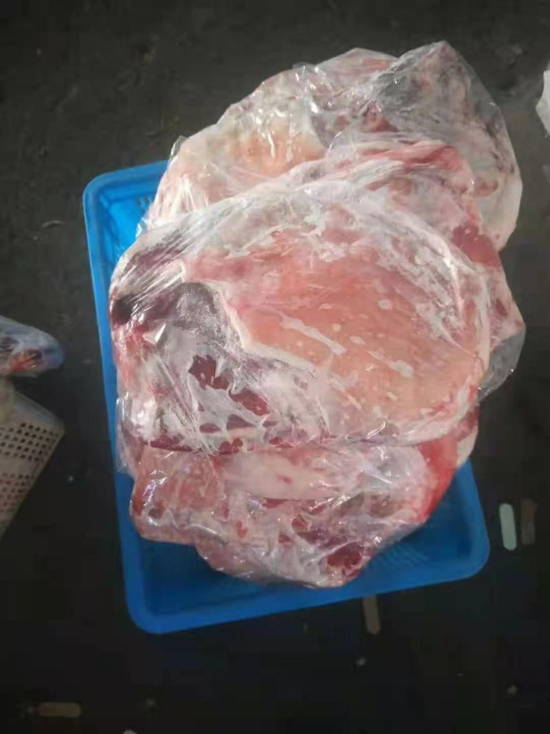 羔羊全排肥瘦相间烧烤嘎嘎香红烧炖锅支持样品