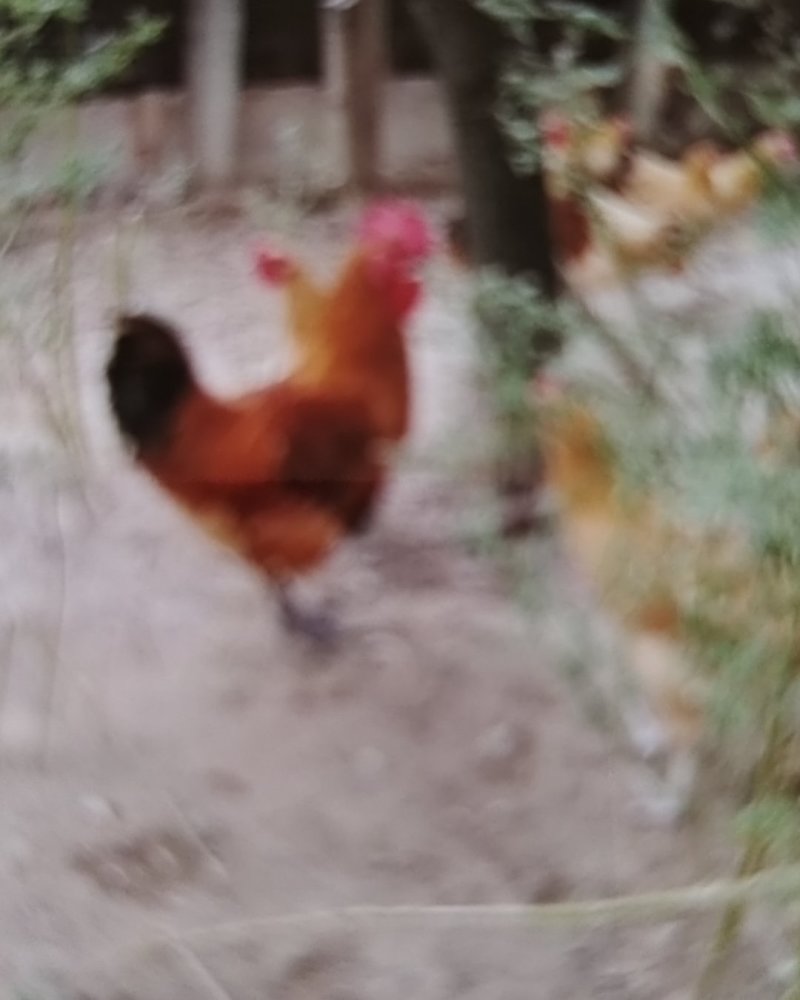 苏北土特产
