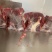 多肉牛脖骨切好以后的成品标准箱，欢迎进店选购