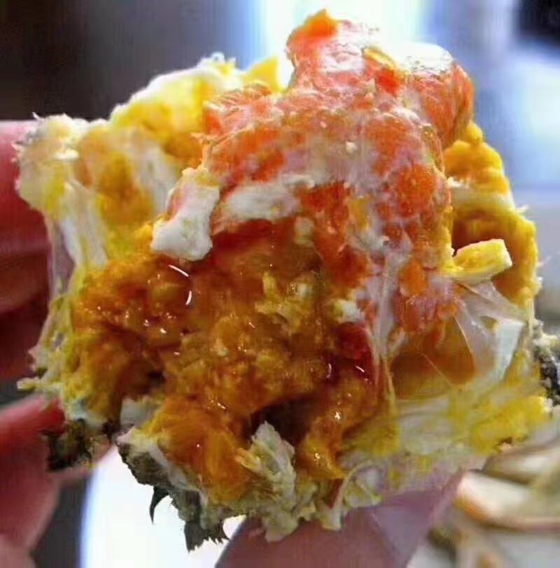 江苏兴精品大闸蟹，包活包肥，产地发货，价格优美质量有保证