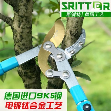 果树修树枝剪刀粗枝剪树枝专用剪子修枝剪伸缩强力园艺园林