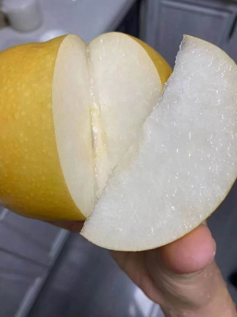 丰水梨大量上市含糖量高
