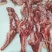 牛肋条复肉条纯干牛肉，净油选过的干牛肉，