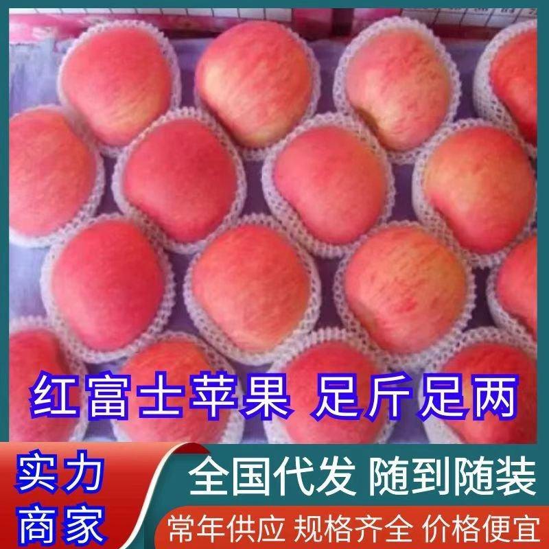 【红富士苹果】大量批发口感脆甜电商超市出口均可