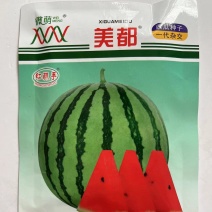 微盟美都西瓜种子杂交一代圆型品种种子