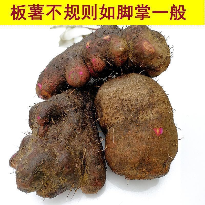 赣南紫山药板薯脚板薯紫玉淮山药大量上市供应一件代发代办