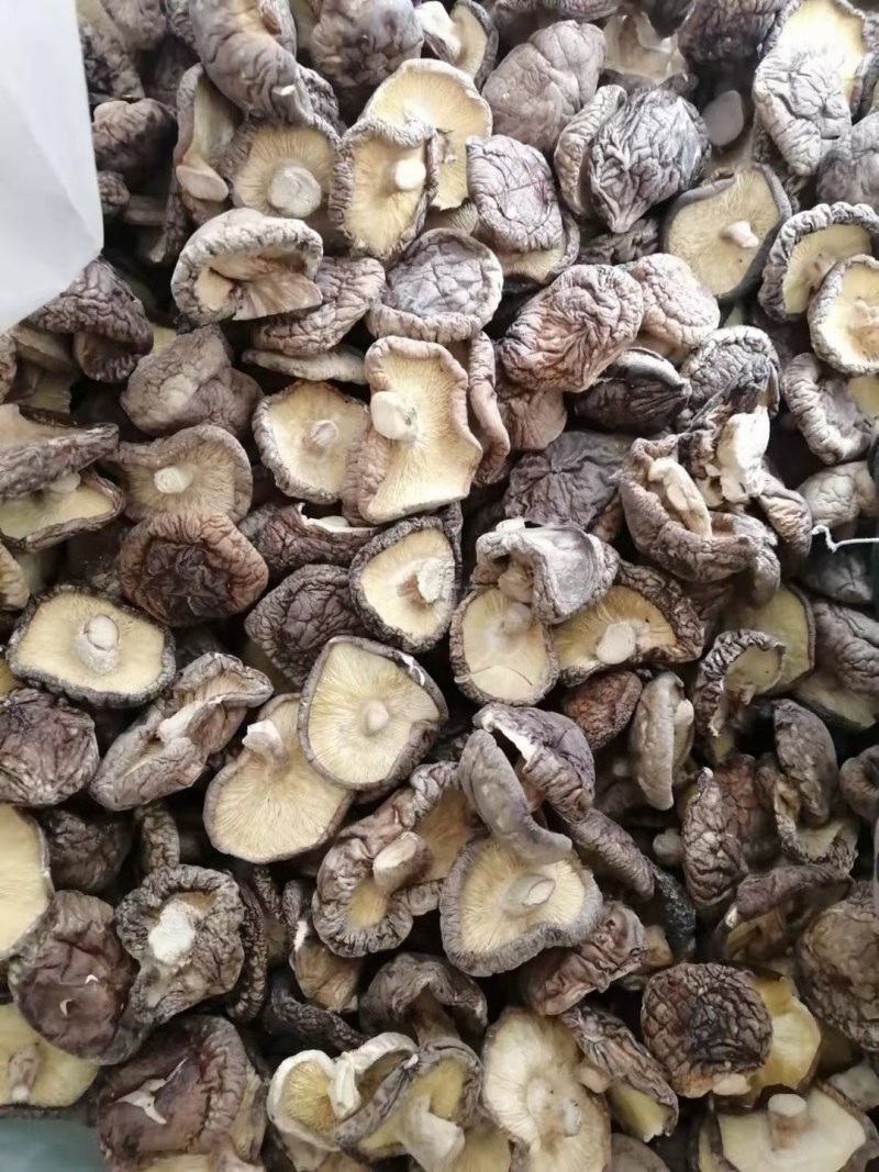 各种规格干香菇，量大从优，货源稳定，欢迎一亩田客商联系！