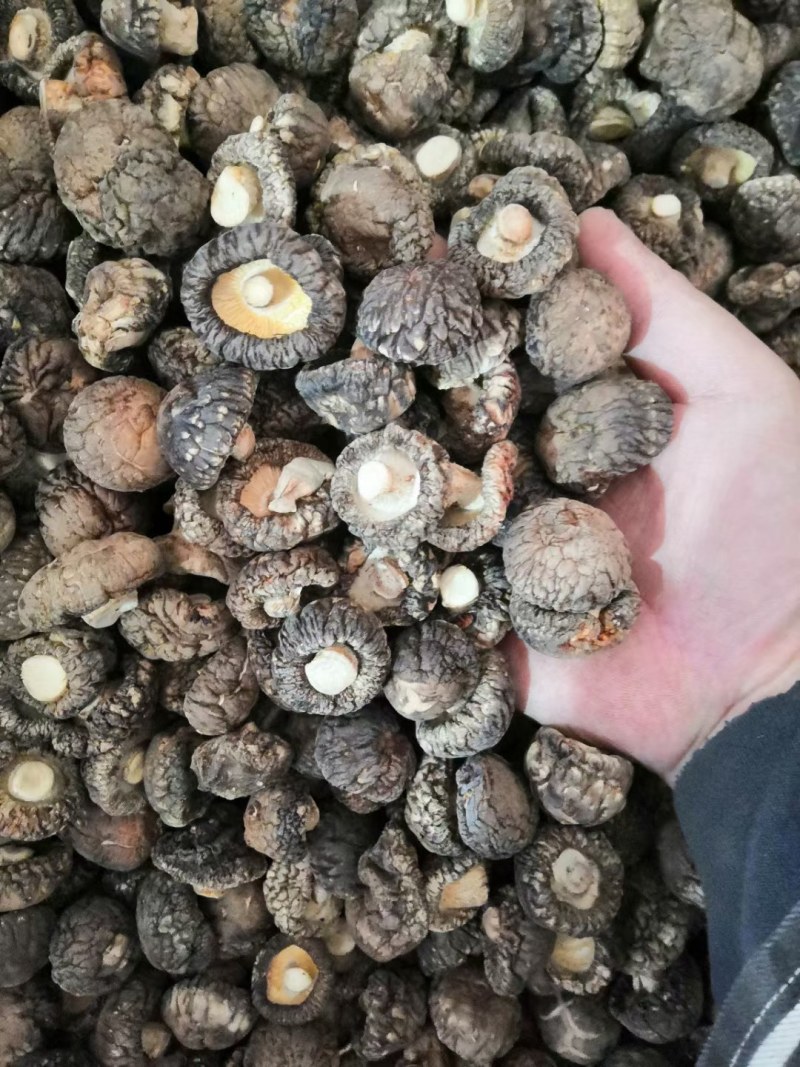 各种规格干香菇，量大从优，货源稳定，欢迎一亩田客商联系！