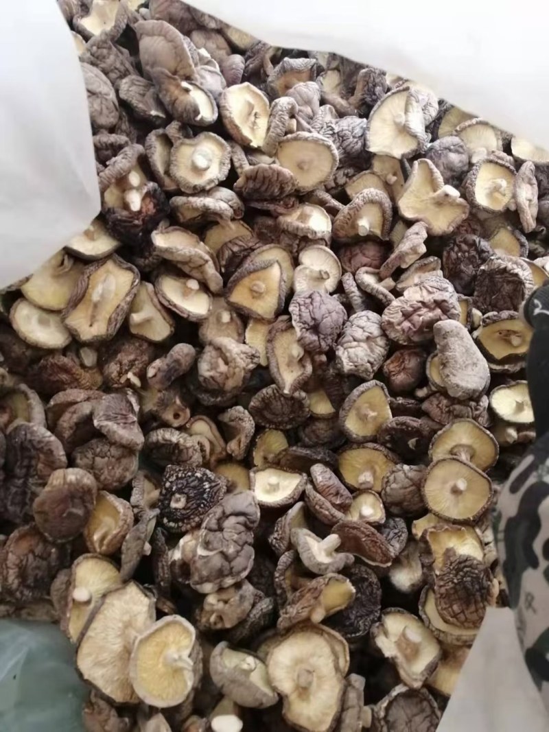 各种规格干香菇，量大从优，货源稳定，欢迎一亩田客商联系！